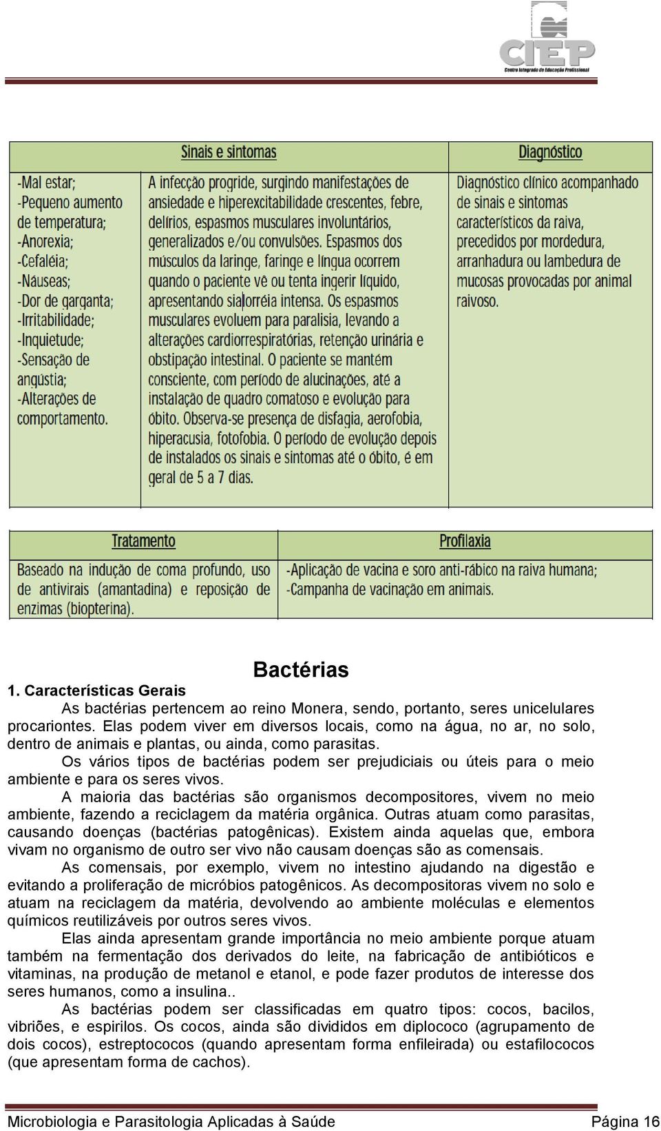 Os vários tipos de bactérias podem ser prejudiciais ou úteis para o meio ambiente e para os seres vivos.