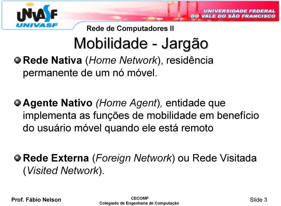 Agente Nativo (Home Agent), entidade que implementa as funções de