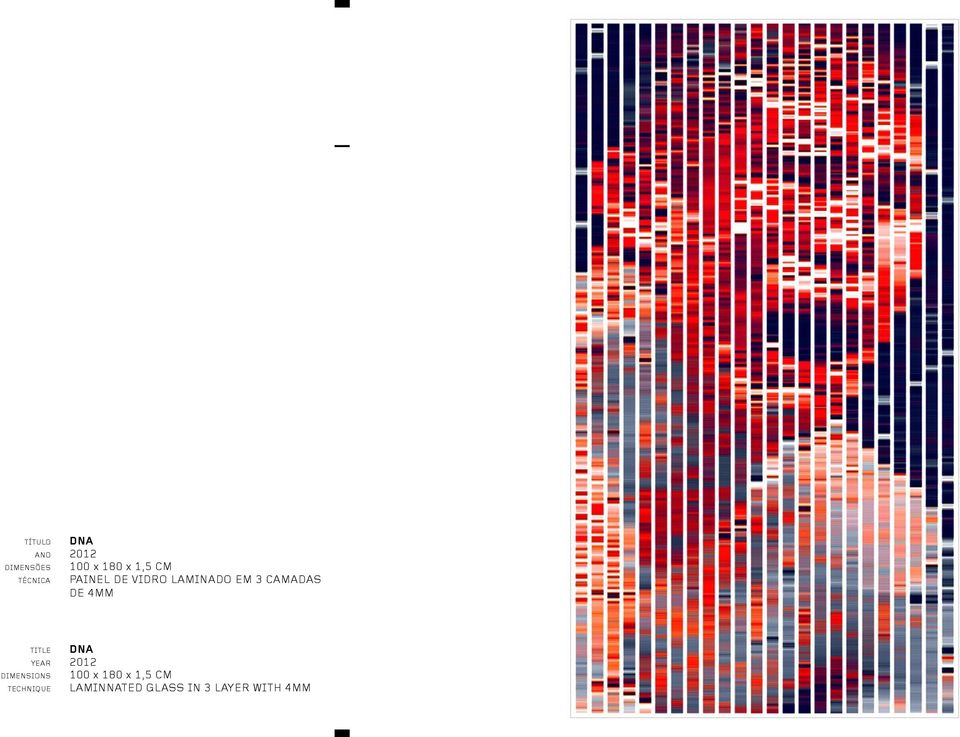 4MM TITLE YEAR DIMENSIONS TECHNIQUE DNA 2012 100