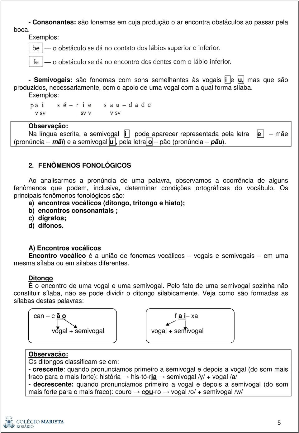 Exemplos: Observação: Na língua escrita, a semivogal i pode aparecer representada pela letra e mãe (pronúncia mãi) e a semivogal u, pela letra o pão (pronúncia pãu). 2.