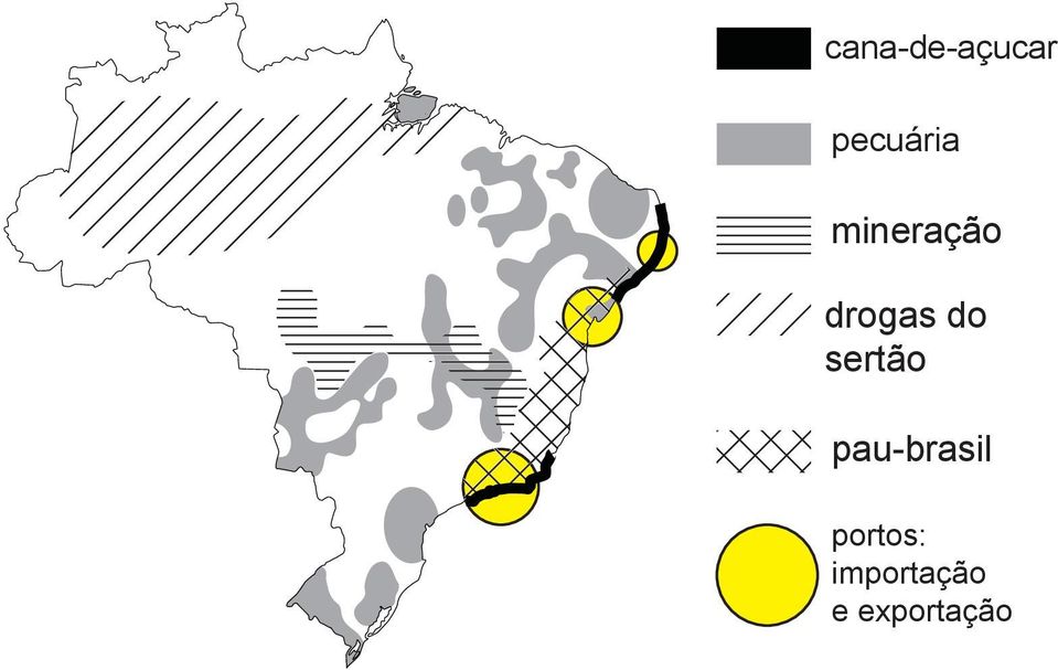 sertão pau-brasil