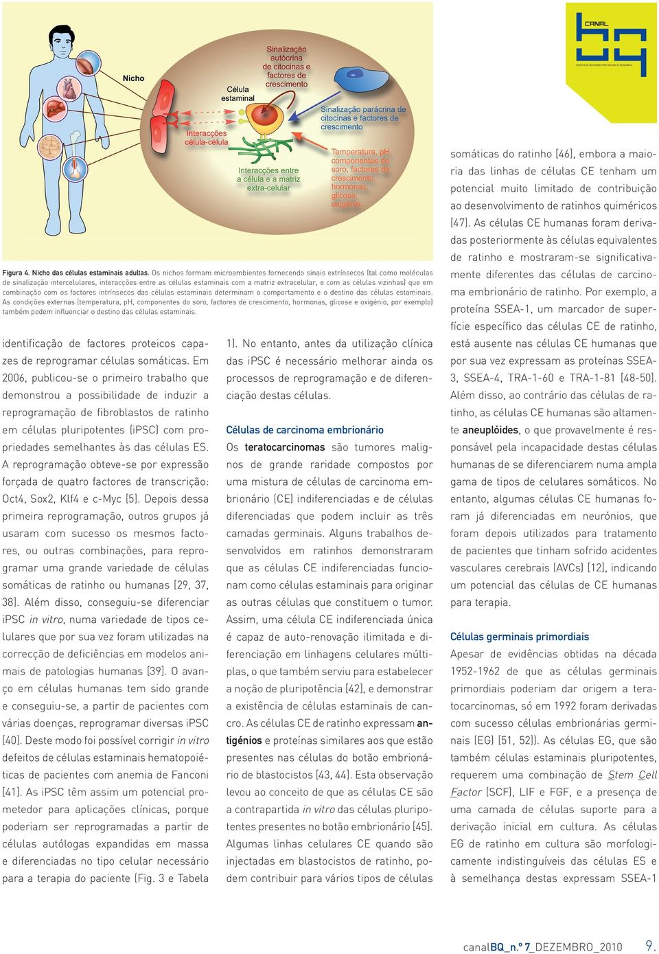 vizinhas) que em combinação com os factores intrínsecos das células estaminais determinam o comportamento e o destino das células estaminais.