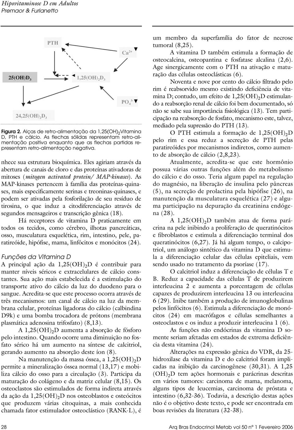 Eles agiriam através da abertura de canais de cloro e das proteínas ativadoras de mitoses (mitogen activated protein/ MAP-kinases).