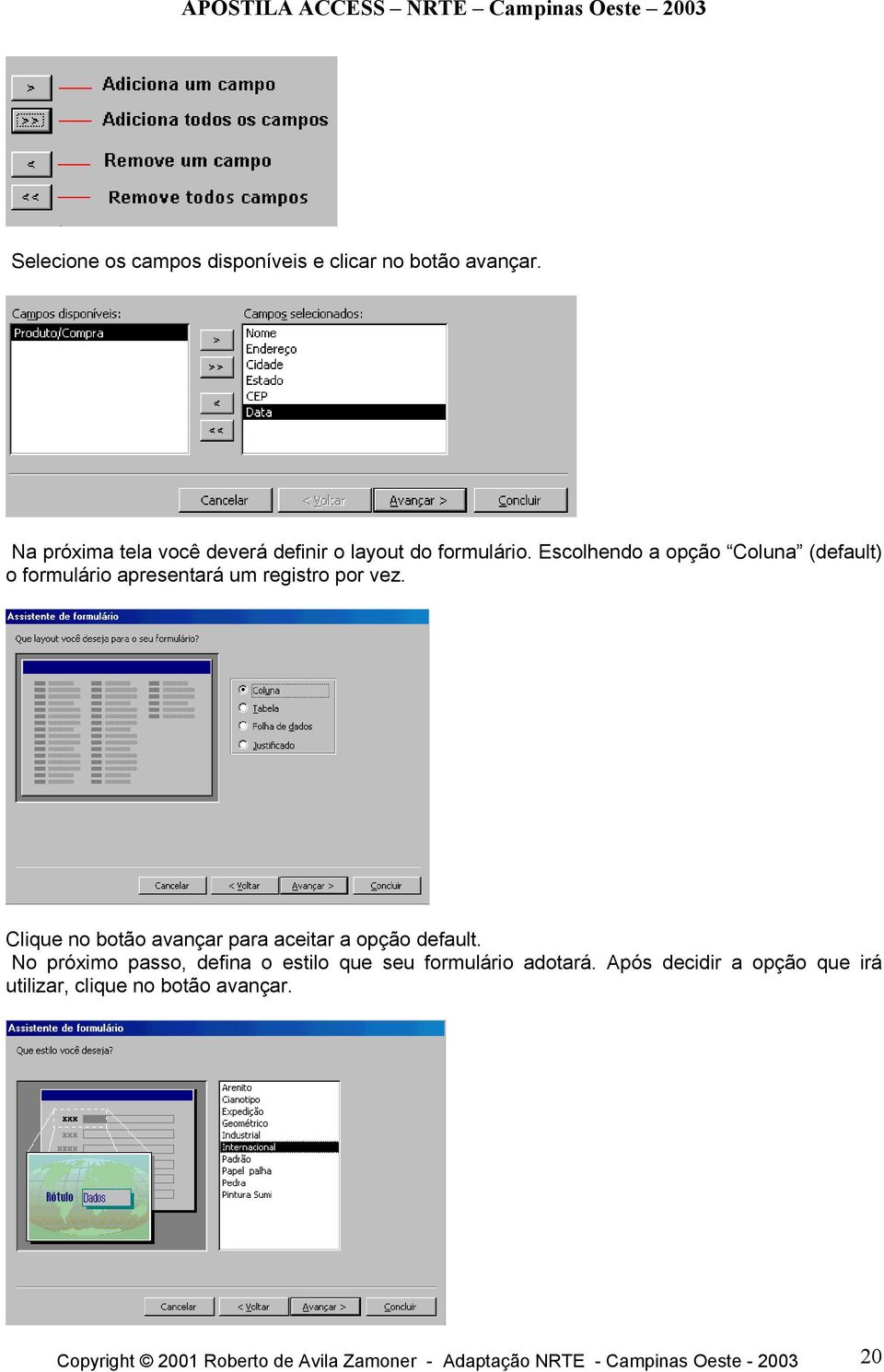 Escolhendo a opção Coluna (default) o formulário apresentará um registro por vez.