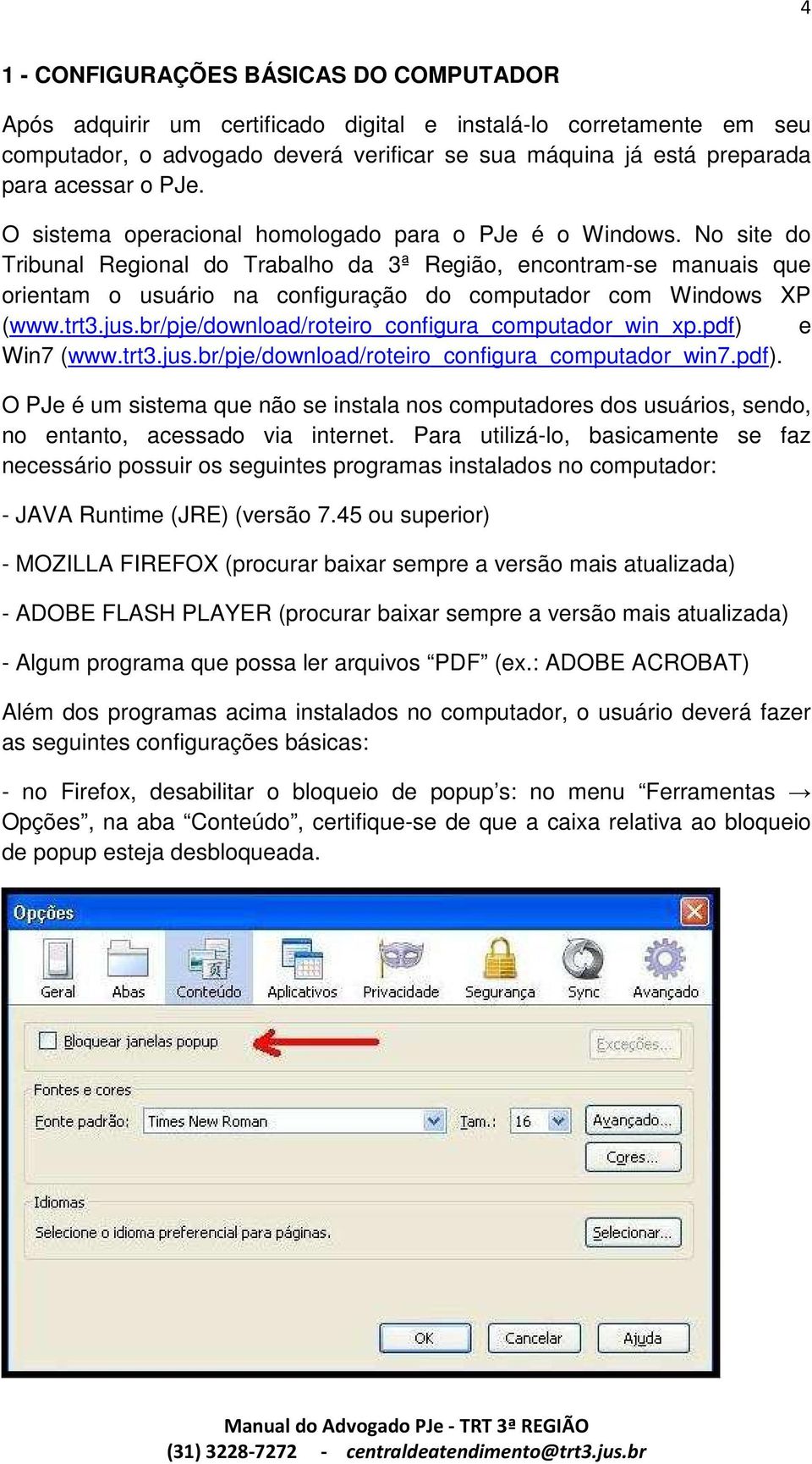 No site do Tribunal Regional do Trabalho da 3ª Região, encontram-se manuais que orientam o usuário na configuração do computador com Windows XP (www.trt3.jus.