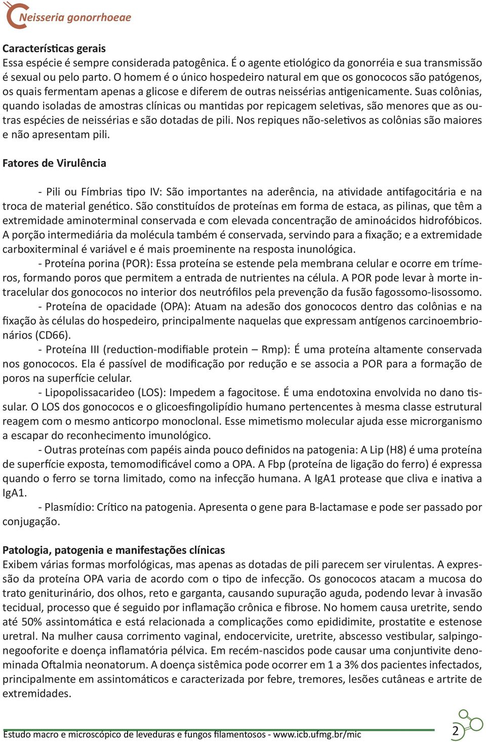 Suas colônias, quando isoladas de amostras clínicas ou mantidas por repicagem seletivas, são menores que as outras espécies de neissérias e são dotadas de pili.