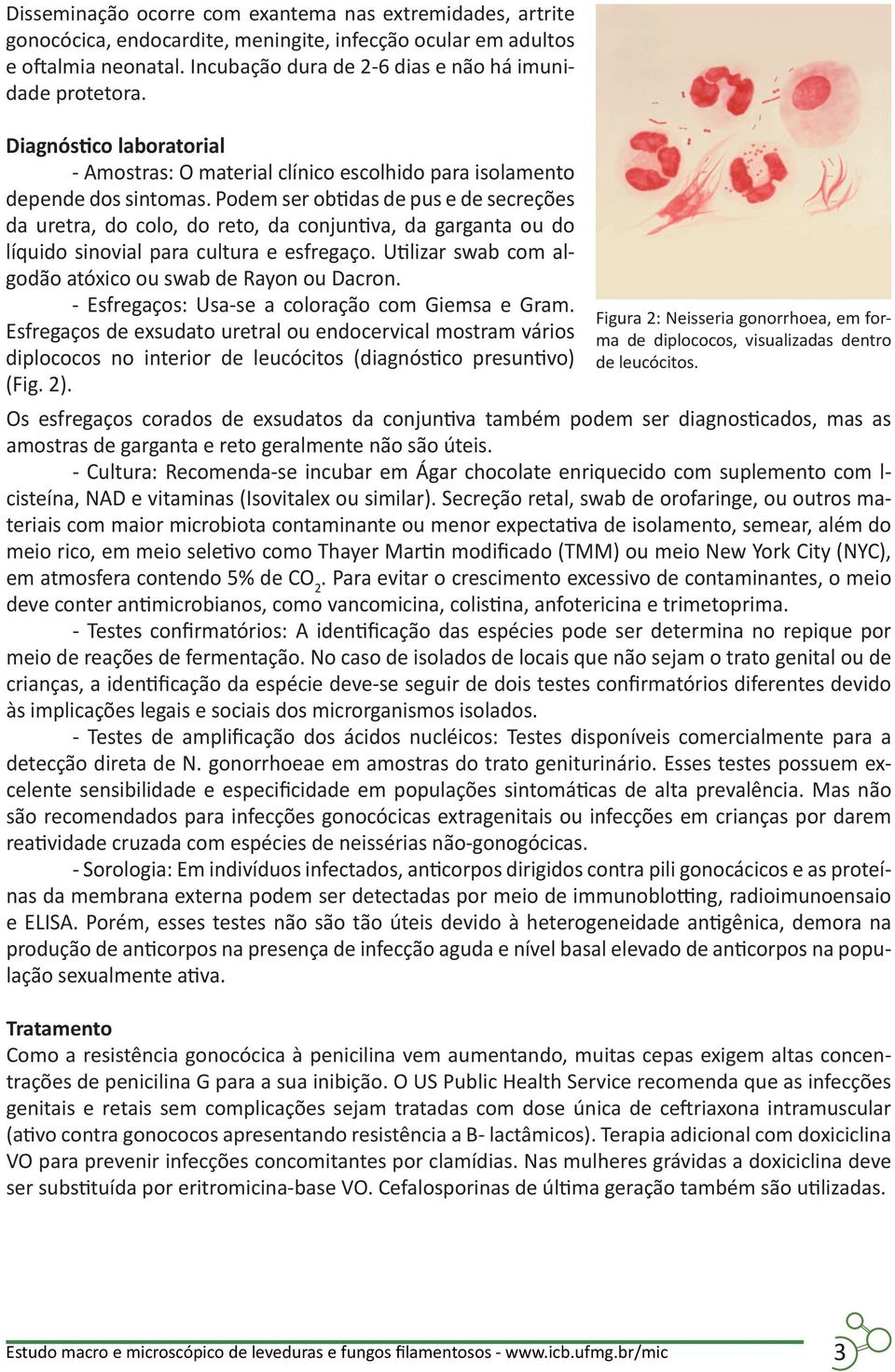 Podem ser obtidas de pus e de secreções da uretra, do colo, do reto, da conjuntiva, da garganta ou do líquido sinovial para cultura e esfregaço.