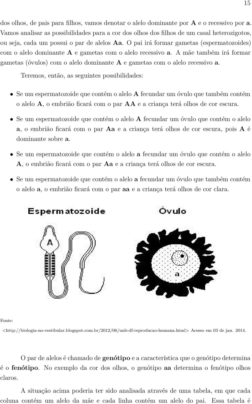 O pai irá formar gametas (espermatozoides) com o alelo dominante A e gametas com o alelo recessivo a.