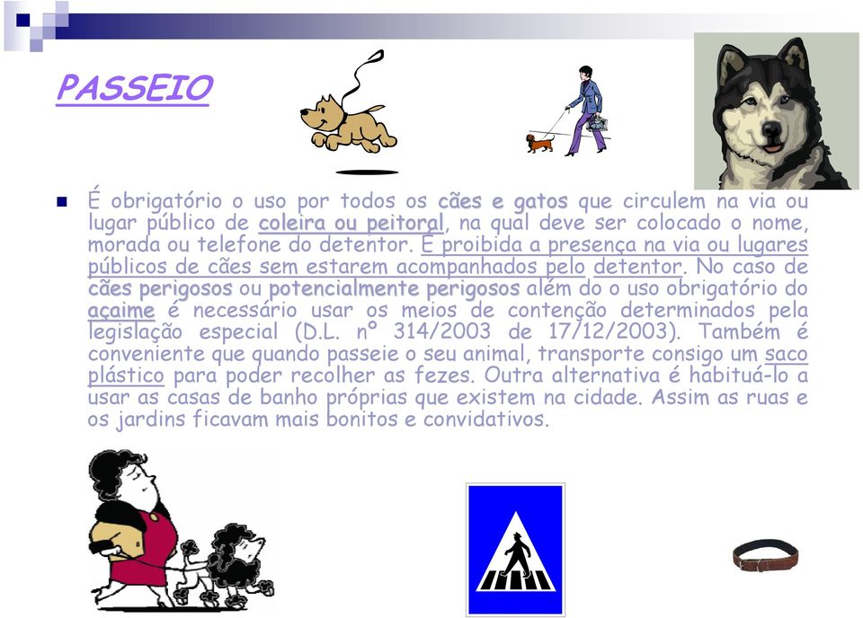 No caso de cães perigosos ou potencialmente perigosos além do o uso obrigatório do açaimeaime é necessário usar os meios de contenção determinados pela legislação especial (D.L.