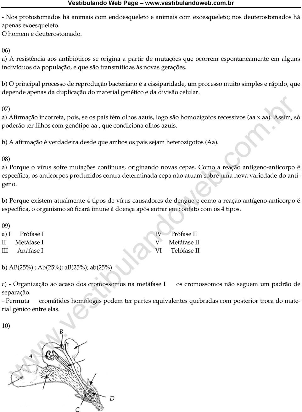 b) O principal processo de reprodução bacteriano é a cissiparidade, um processo muito simples e rápido, que depende apenas da duplicação do material genético e da divisão celular.