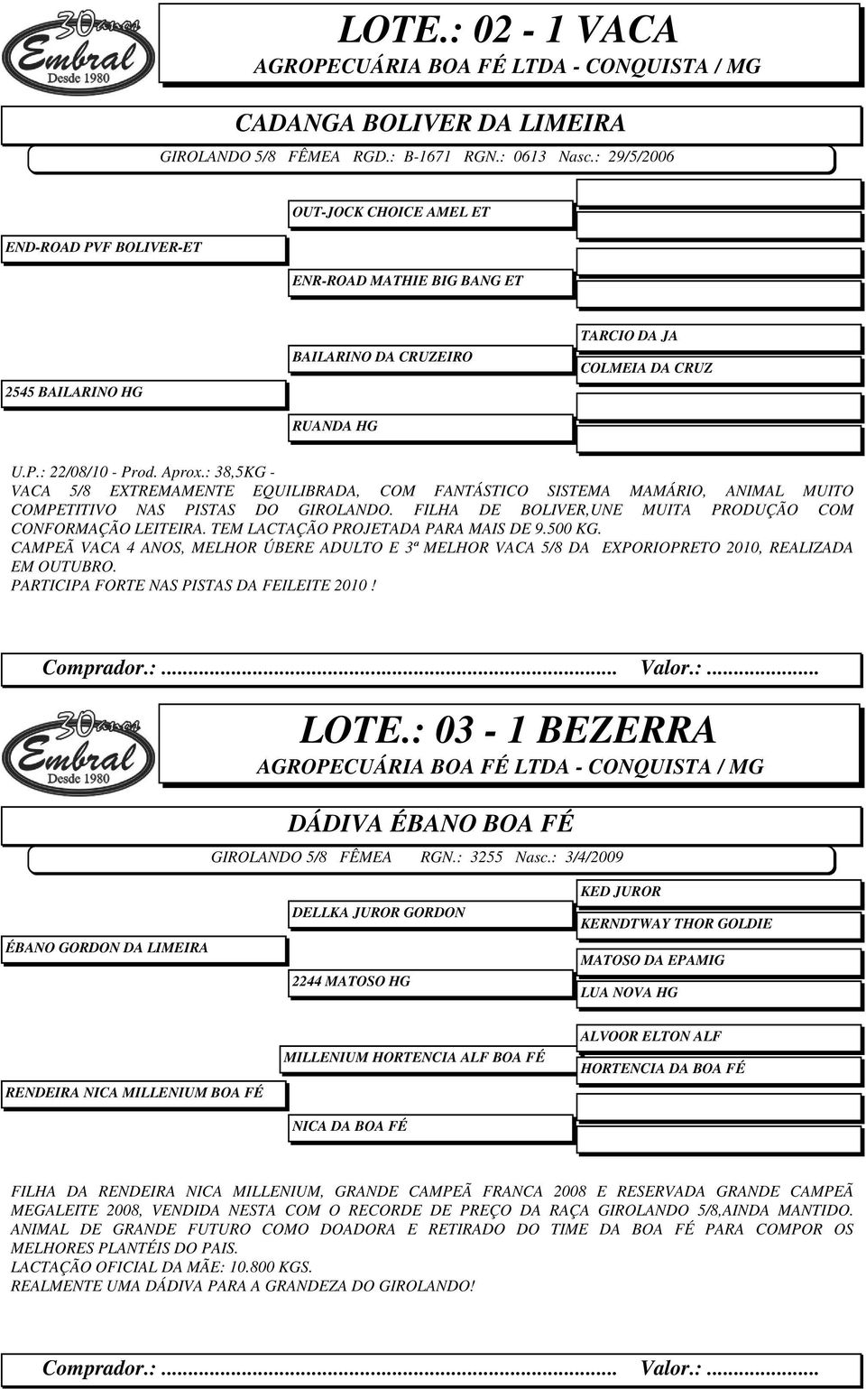 : 38,5KG - VACA 5/8 EXTREMAMENTE EQUILIBRADA, COM FANTÁSTICO SISTEMA MAMÁRIO, ANIMAL MUITO COMPETITIVO NAS PISTAS DO GIROLANDO. FILHA DE BOLIVER,UNE MUITA PRODUÇÃO COM CONFORMAÇÃO LEITEIRA.