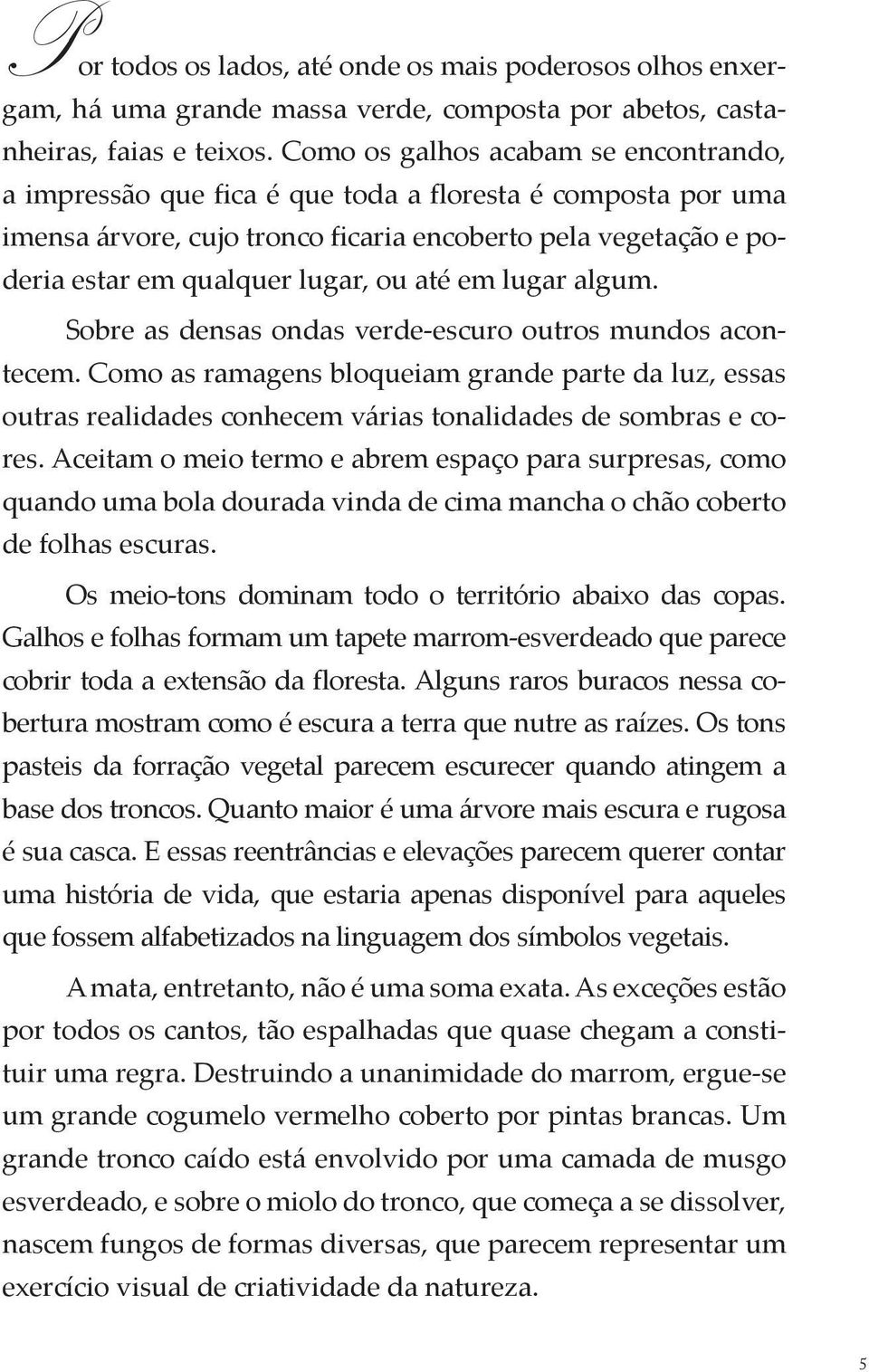 até em lugar algum. Sobre as densas ondas verde-escuro outros mundos acontecem. Como as ramagens bloqueiam grande parte da luz, essas outras realidades conhecem várias tonalidades de sombras e cores.