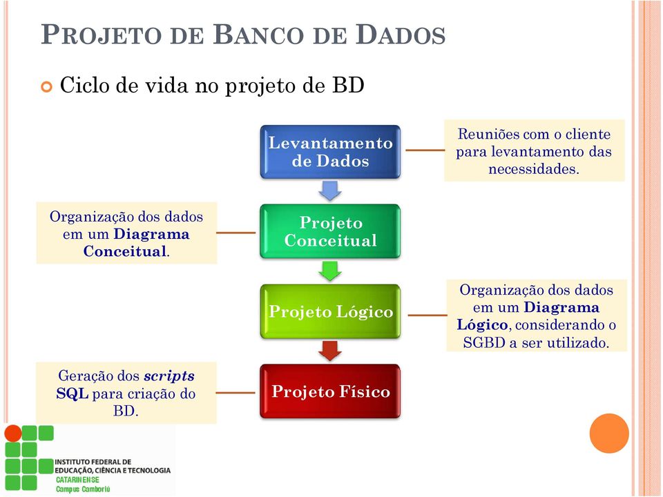 Organização dos dados em um Diagrama Conceitual.