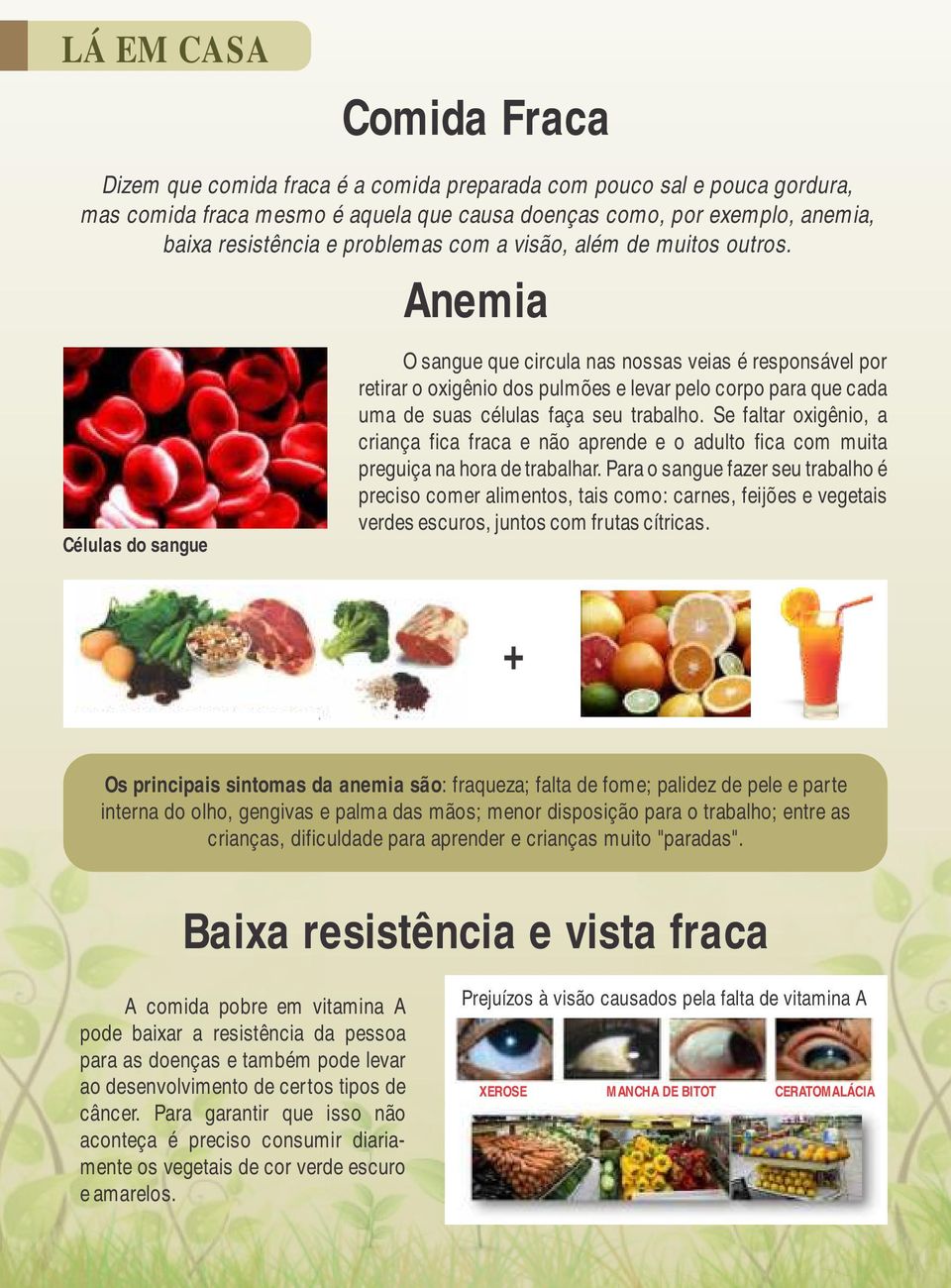 Anemia Células do sangue O sangue que circula nas nossas veias é responsável por retirar o oxigênio dos pulmões e levar pelo corpo para que cada uma de suas células faça seu trabalho.