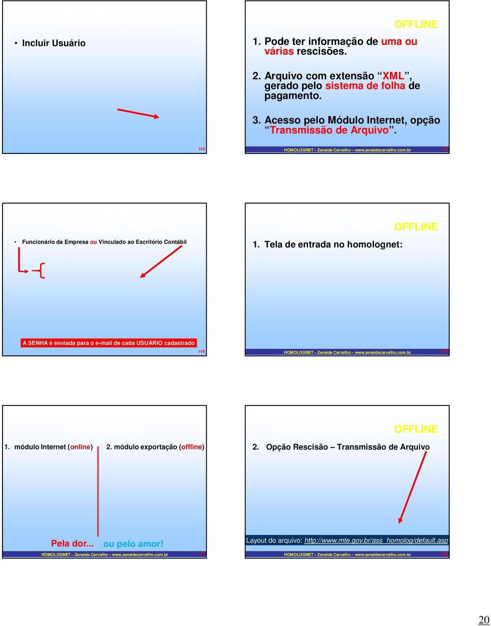 Tela de entrada no homolognet: A SENHA é enviada para o e-mail de cada USUÁRIO cadastrado 116 HOMOLOGNET Zenaide Carvalho www.zenaidecarvalho.com.