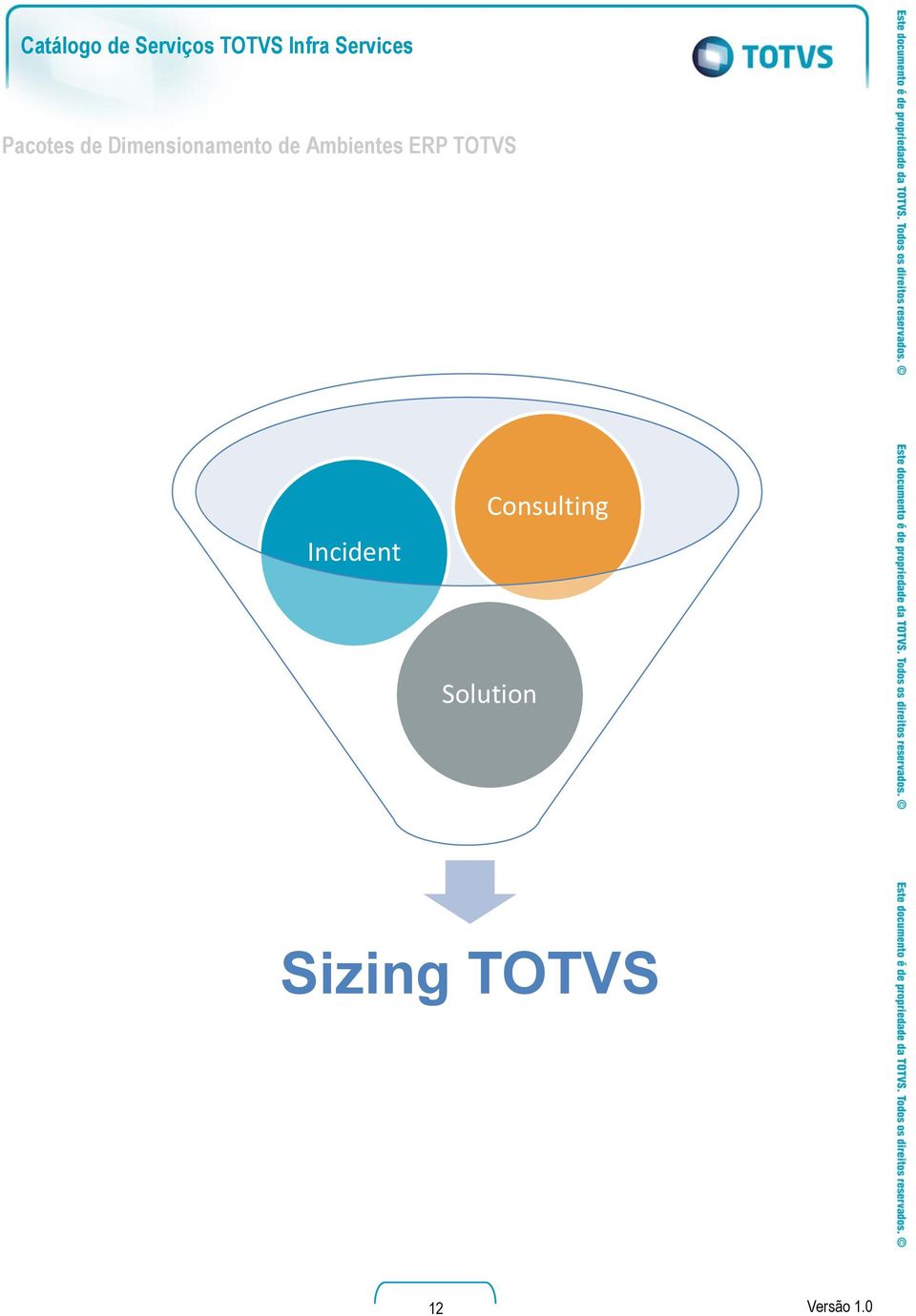 ERP TOTVS Incident Consulting