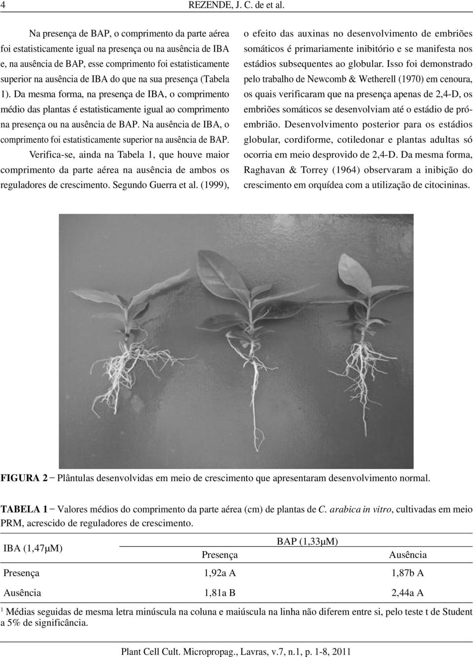 do que na sua presença (Tabela 1). Da mesma forma, na presença de IBA, o comprimento médio das plantas é estatisticamente igual ao comprimento na presença ou na ausência de BAP.