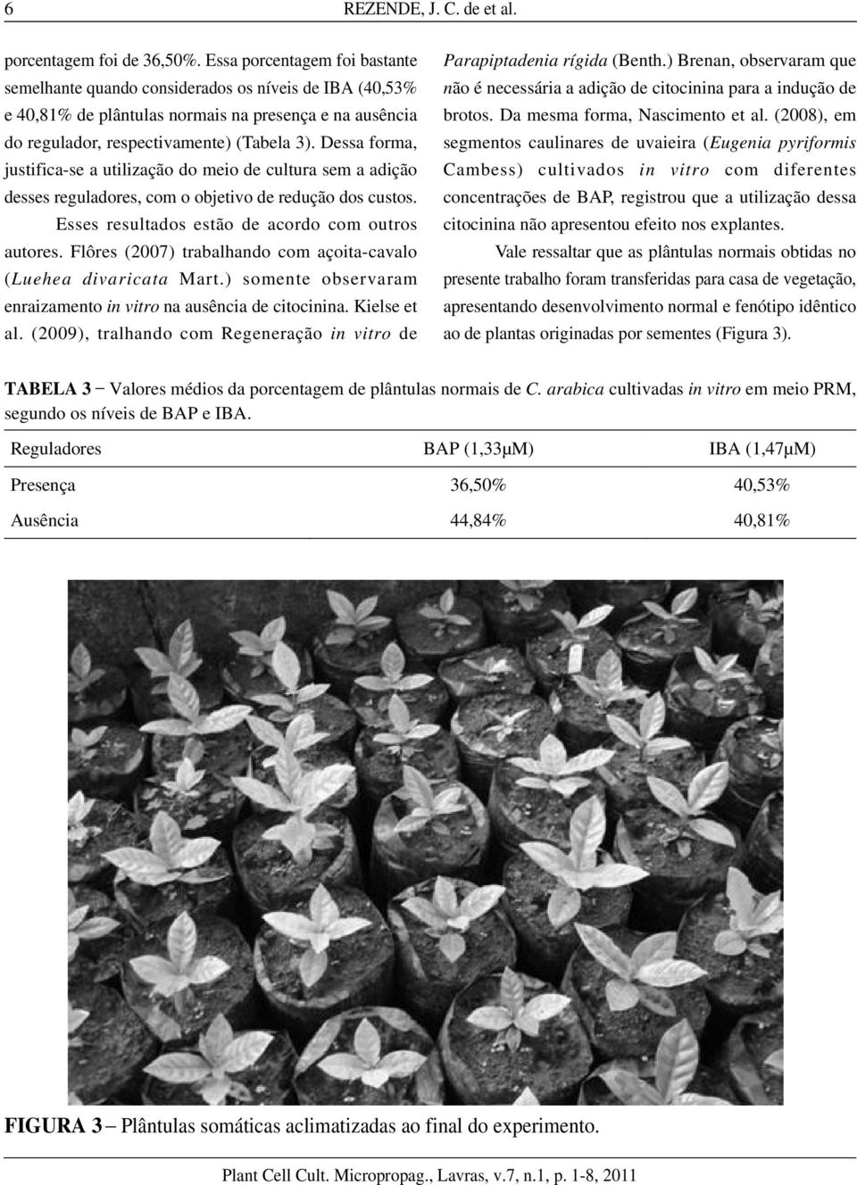 Dessa forma, justifica-se a utilização do meio de cultura sem a adição desses reguladores, com o objetivo de redução dos custos. Esses resultados estão de acordo com outros autores.