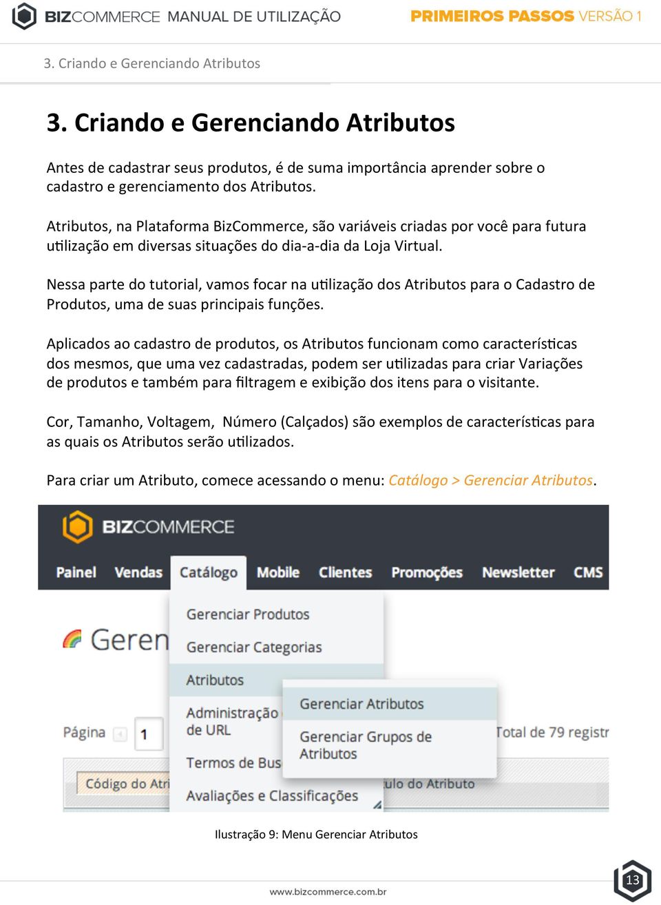 Nessa parte do tutorial, vamos focar na u=lização dos Atributos para o Cadastro de Produtos, uma de suas principais funções.