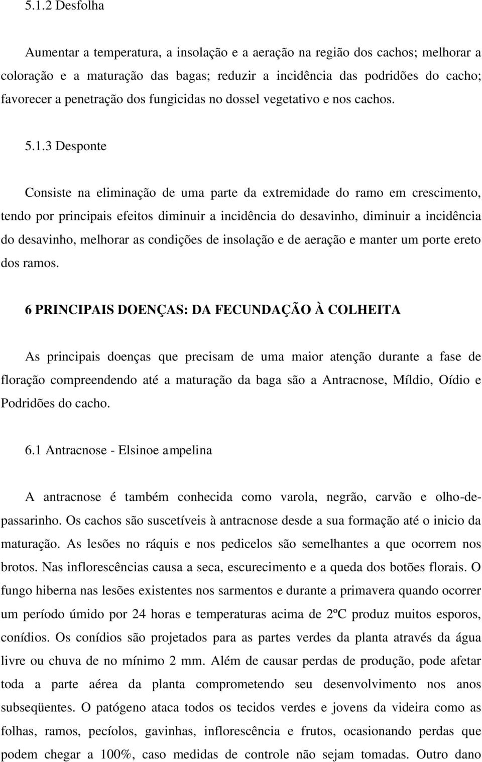 3 Desponte Consiste na eliminação de uma parte da extremidade do ramo em crescimento, tendo por principais efeitos diminuir a incidência do desavinho, diminuir a incidência do desavinho, melhorar as