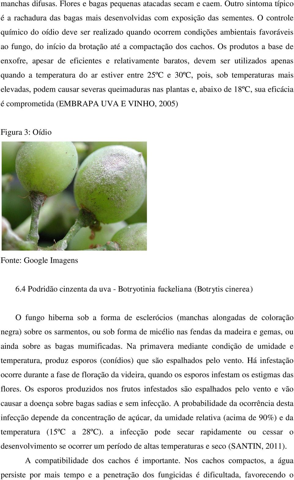 Os produtos a base de enxofre, apesar de eficientes e relativamente baratos, devem ser utilizados apenas quando a temperatura do ar estiver entre 25ºC e 30ºC, pois, sob temperaturas mais elevadas,