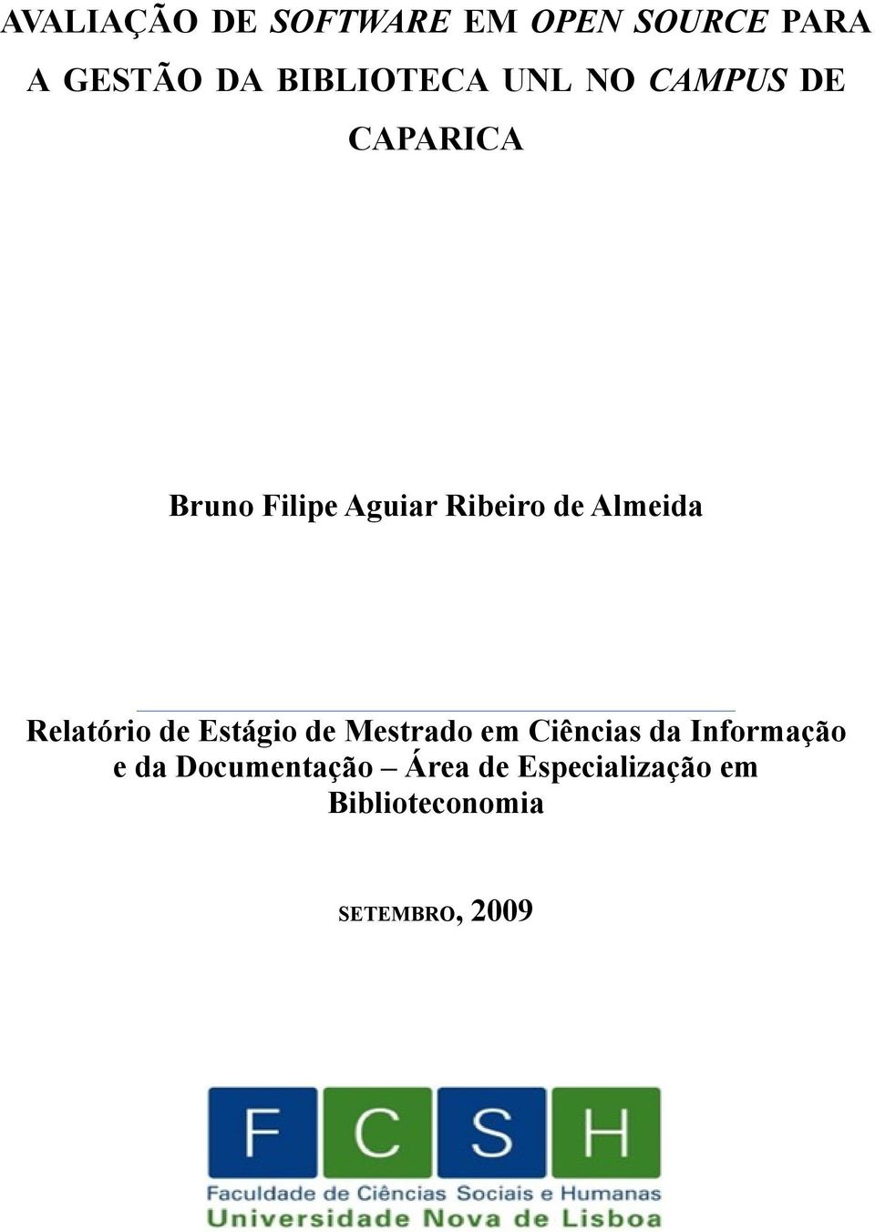 Relatório de Estágio de Mestrado em Ciências da Informação e da