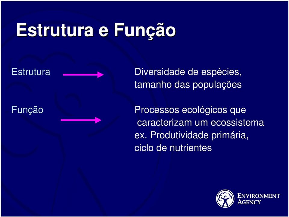 populações Processos ecológicos que