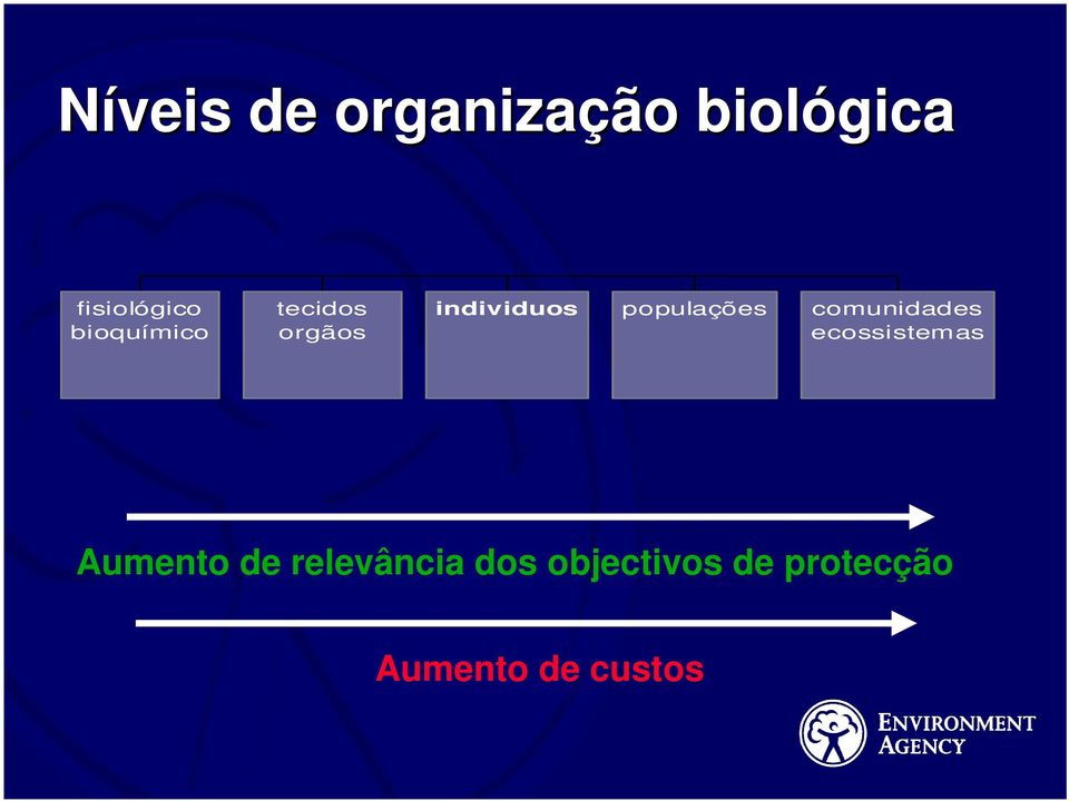 populações comunidades ecossistemas Aumento