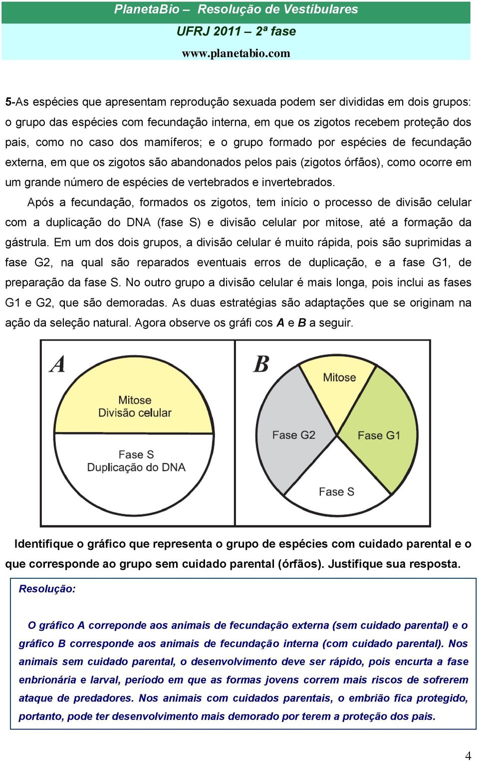 invertebrados. Após a fecundação, formados os zigotos, tem início o processo de divisão celular com a duplicação do DNA (fase S) e divisão celular por mitose, até a formação da gástrula.