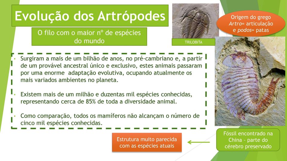 ambientes no planeta. Existem mais de um milhão e duzentas mil espécies conhecidas, representando cerca de 85% de toda a diversidade animal.