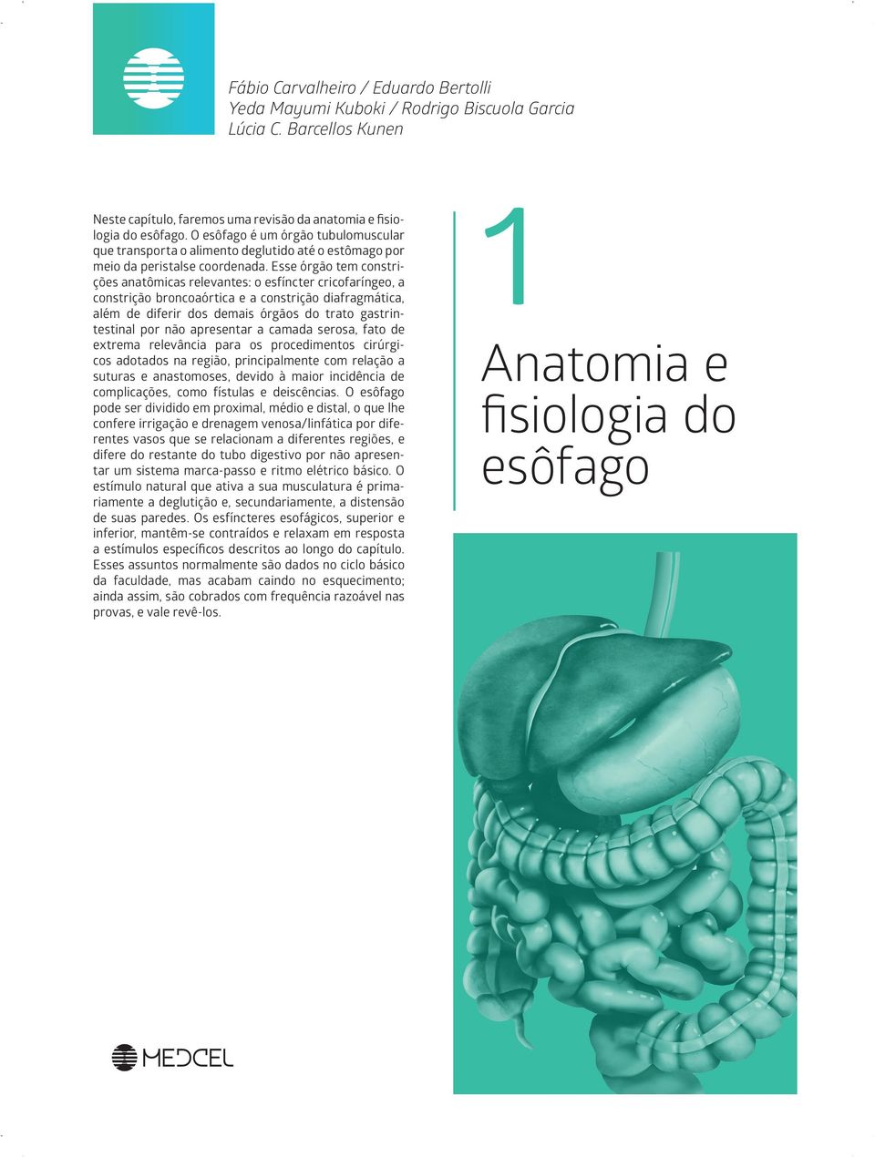 Esse órgão tem constrições anatômicas relevantes: o esfíncter cricofaríngeo, a constrição broncoaórtica e a constrição diafragmática, além de diferir dos demais órgãos do trato gastrintestinal por