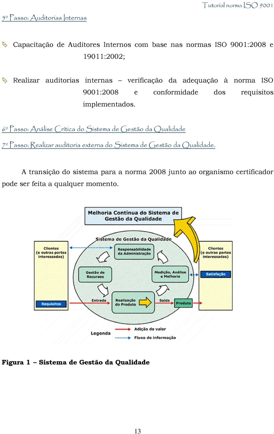 6º Passo: Análise Crítica do Sistema de Gestão da Qualidade 7º Passo: Realizar auditoria externa do Sistema de Gestão da