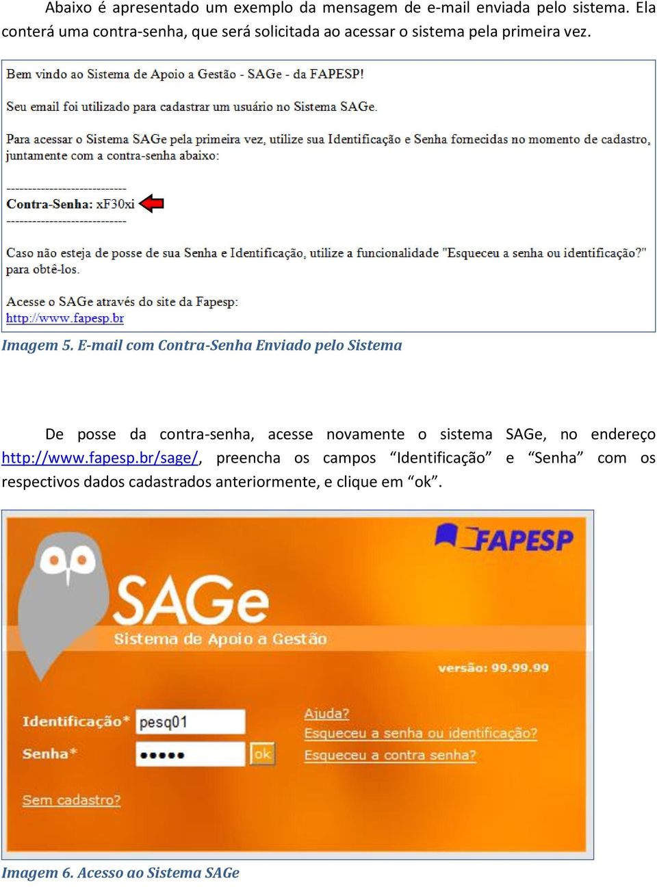 E-mail com Contra-Senha Enviado pelo Sistema De posse da contra-senha, acesse novamente o sistema SAGe, no endereço