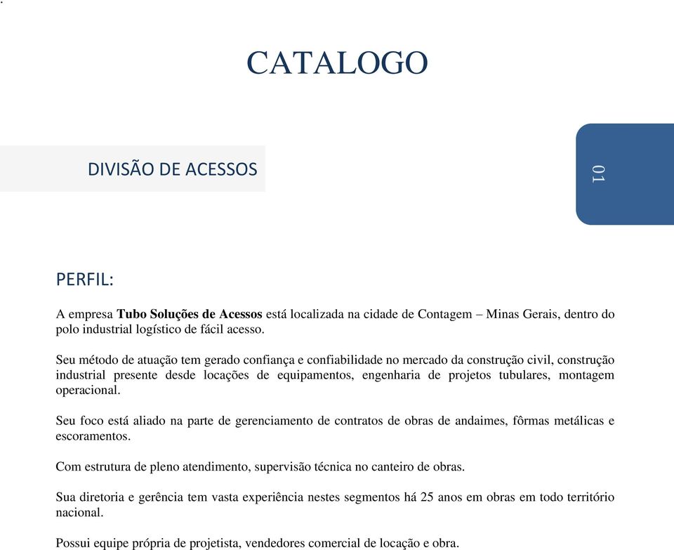 montagem operacional. Seu foco está aliado na parte de gerenciamento de contratos de obras de andaimes, fôrmas metálicas e escoramentos.