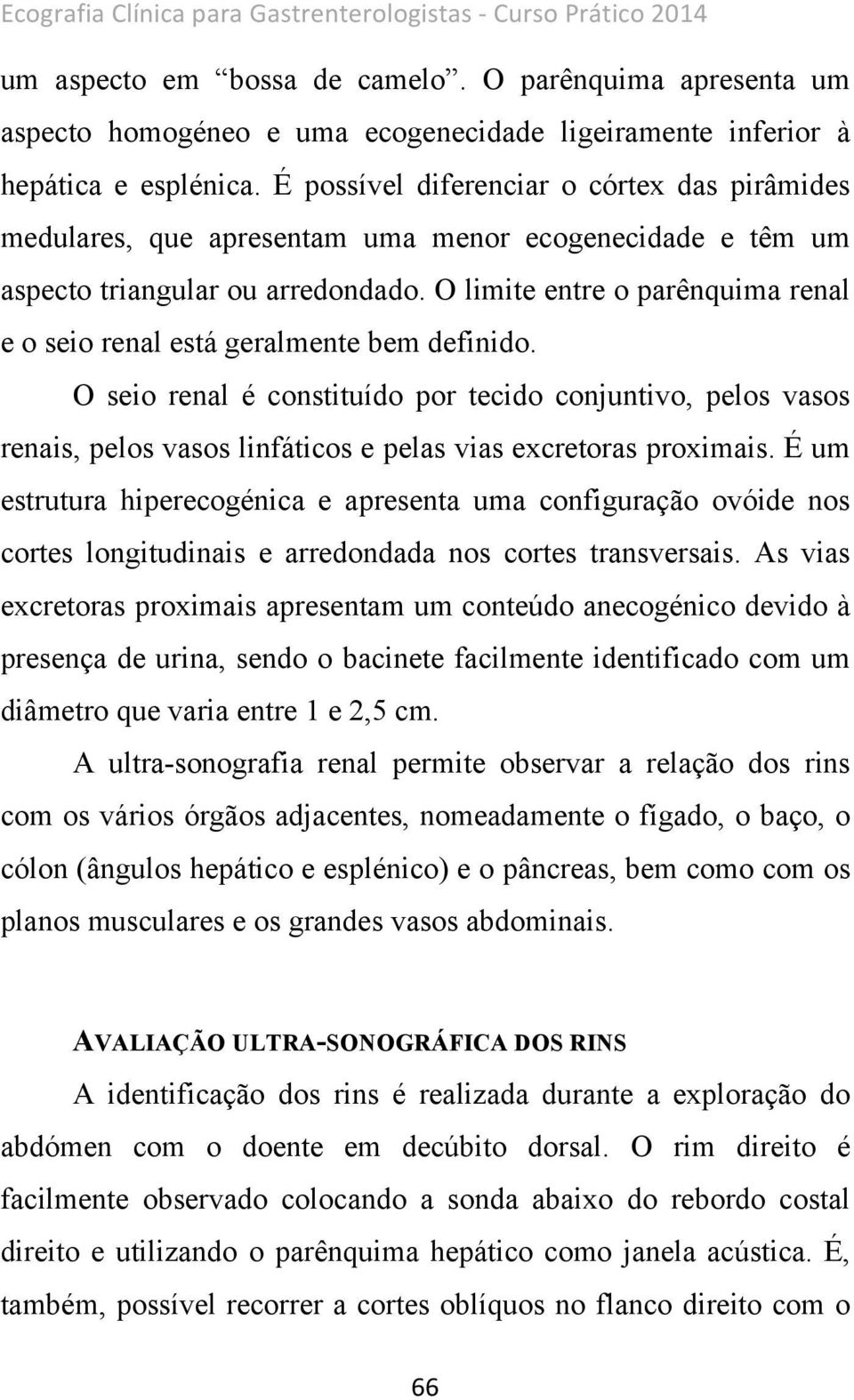 É possível diferenciar o córtex das pirâmides medulares, que apresentam uma menor ecogenecidade e têm um aspecto triangular ou arredondado.