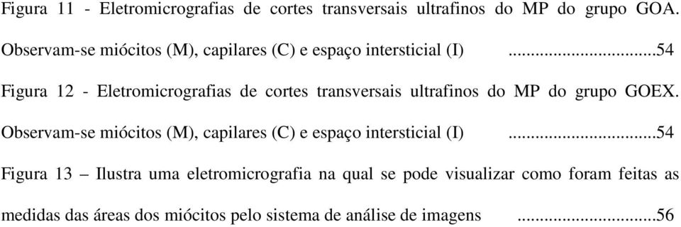 ..54 Figura 12 - Eletromicrografias de cortes transversais ultrafinos do MP do grupo GOEX.