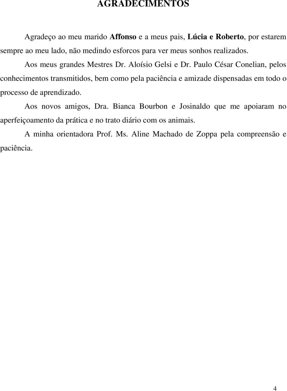 Paulo César Conelian, pelos conhecimentos transmitidos, bem como pela paciência e amizade dispensadas em todo o processo de aprendizado.