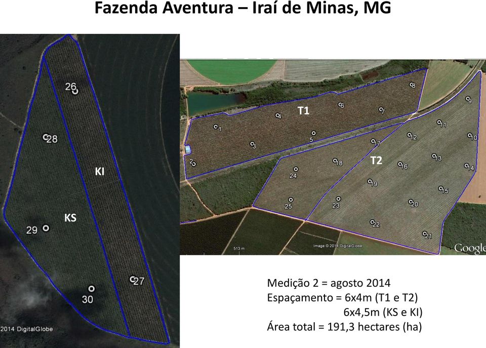 Espaçamento = 6x4m (T1 e T2) 6x4,5m