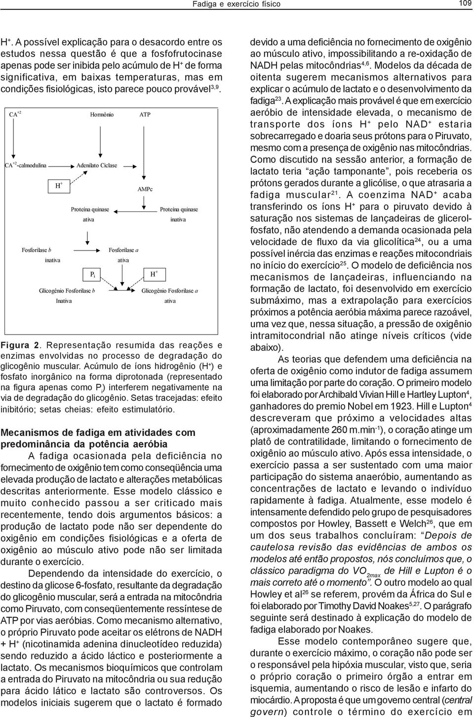 condições fisiológicas, isto parece pouco provável 3,9.