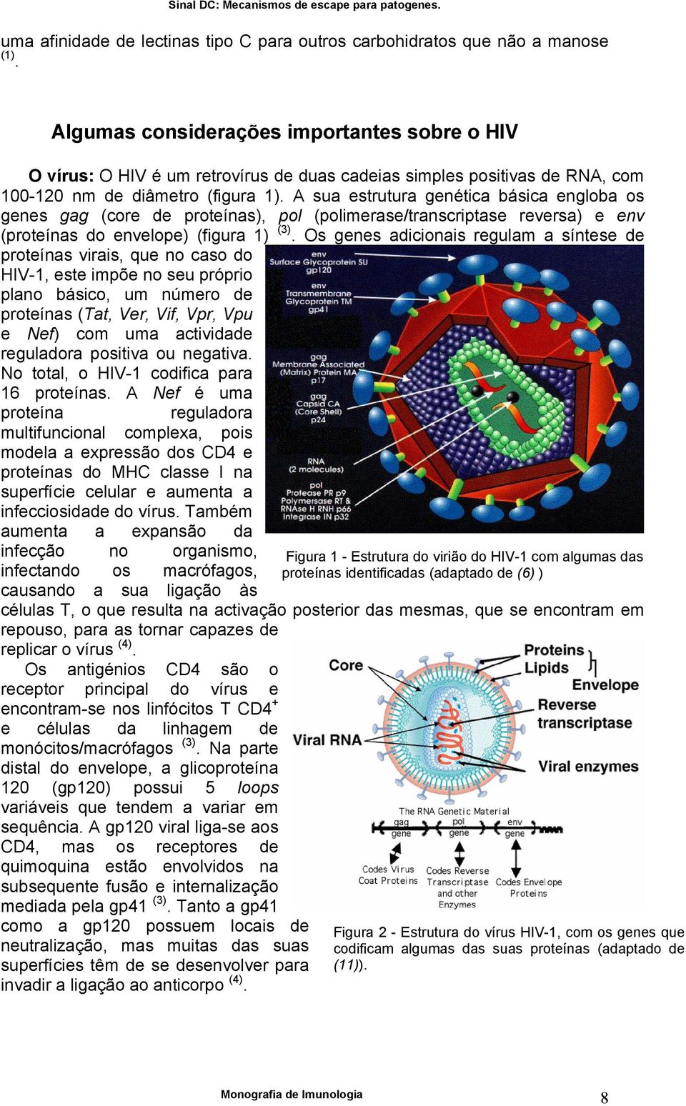 A sua estrutura genética básica engloba os genes gag (core de proteínas), pol (polimerase/transcriptase reversa) e env (proteínas do envelope) (figura 1) (3).