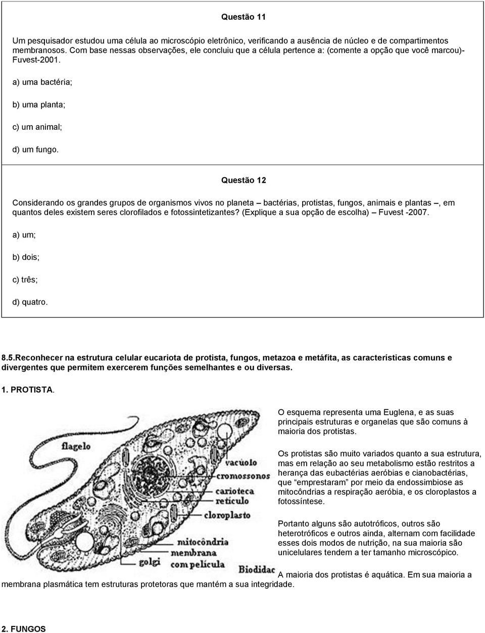 Questão 12 Considerando os grandes grupos de organismos vivos no planeta bactérias, protistas, fungos, animais e plantas, em quantos deles existem seres clorofilados e fotossintetizantes?