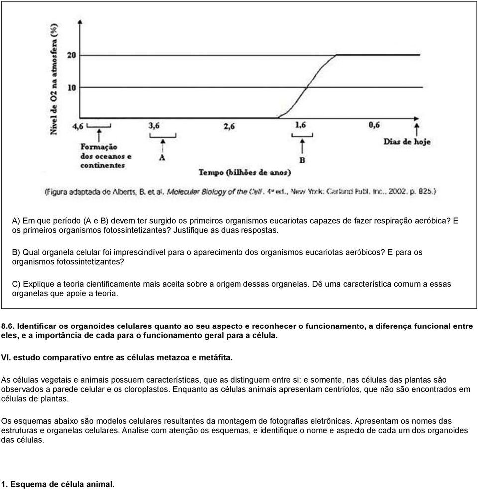 C) Explique a teoria cientificamente mais aceita sobre a origem dessas organelas. Dê uma característica comum a essas organelas que apoie a teoria. 8.6.