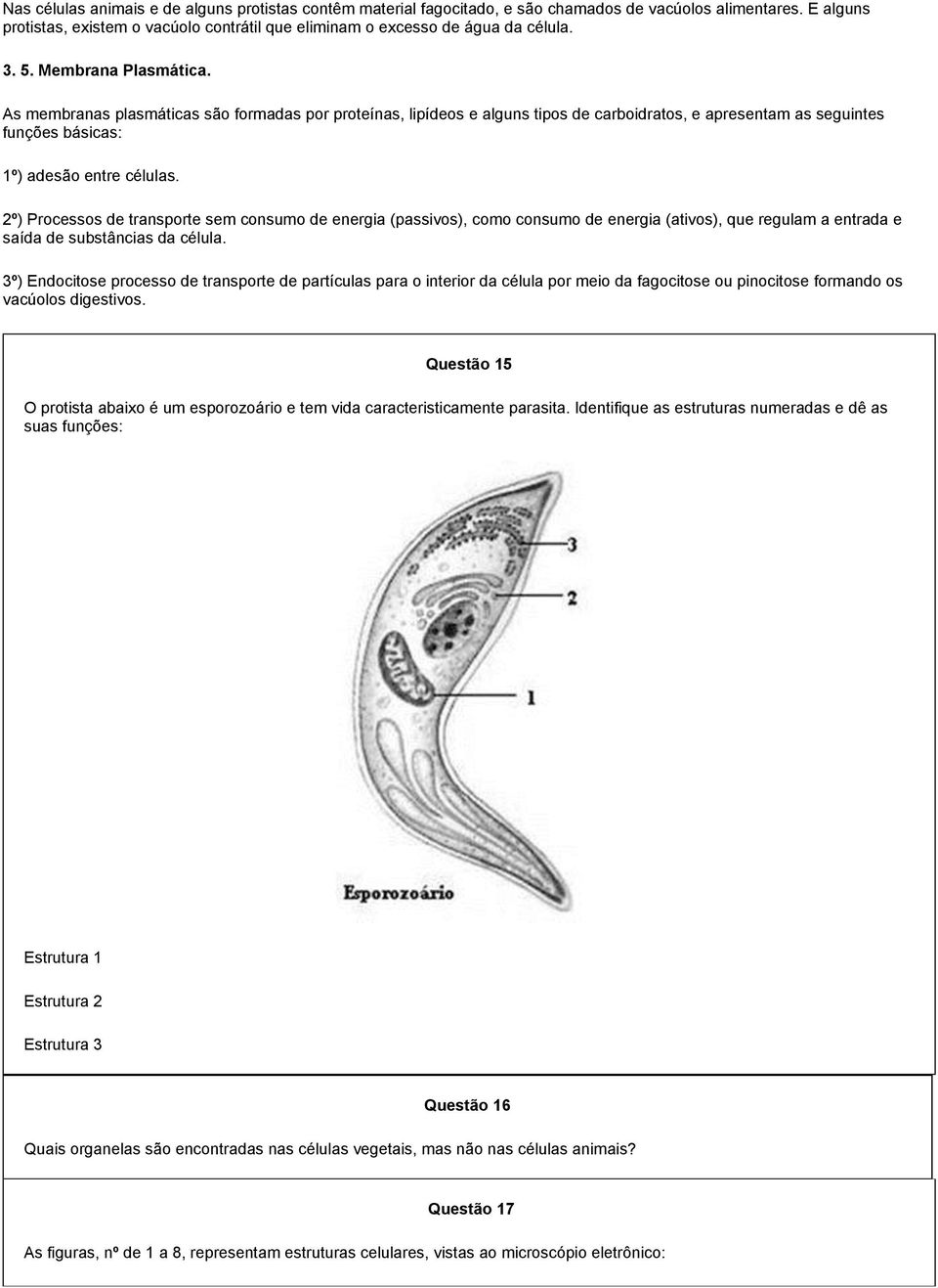 2º) Processos de transporte sem consumo de energia (passivos), como consumo de energia (ativos), que regulam a entrada e saída de substâncias da célula.