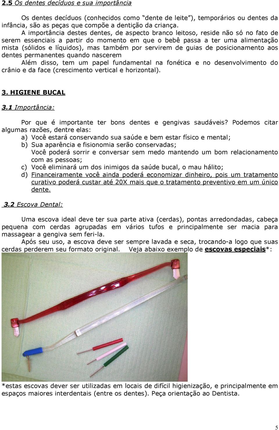 por servirem de guias de posicionamento aos dentes permanentes quando nascerem Além disso, tem um papel fundamental na fonética e no desenvolvimento do crânio e da face (crescimento vertical e