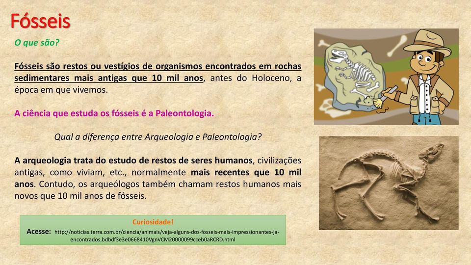 A ciência que estuda os fósseis é a Paleontologia. Qual a diferença entre Arqueologia e Paleontologia?