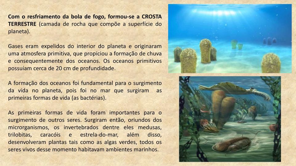 Os oceanos primitivos possuíam cerca de 20 cm de profundidade.