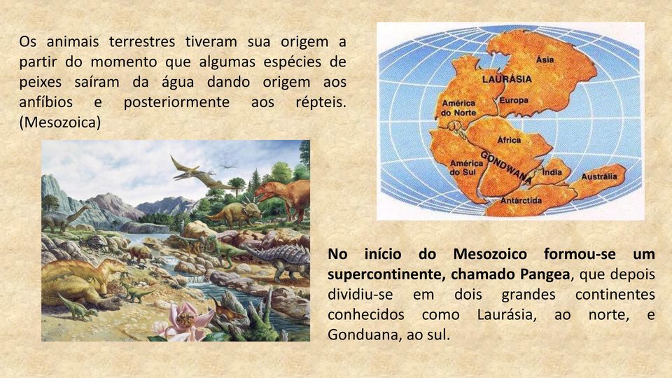 (Mesozoica) No início do Mesozoico formou-se um supercontinente, chamado Pangea, que