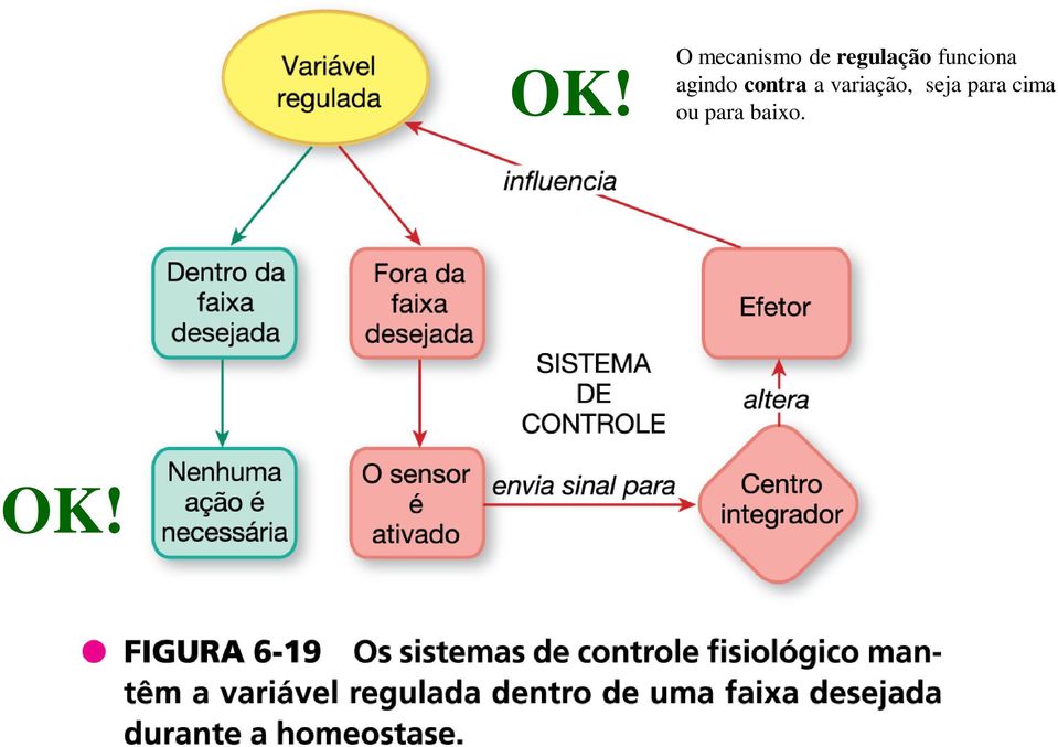 funciona agindo contra a