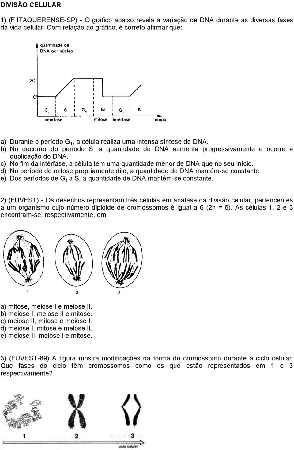 b) No decorrer do período S, a quantidade de DNA aumenta progressivamente e ocorre a duplicação do DNA. c) No fim da intérfase, a célula tem uma quantidade menor de DNA que no seu início.