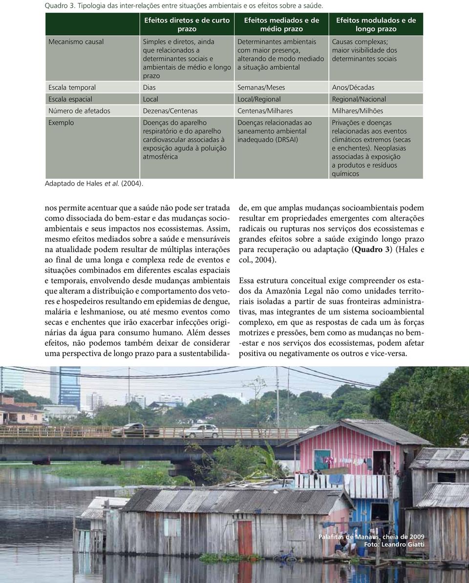 ambientais com maior presença, alterando de modo mediado a situação ambiental Efeitos modulados e de longo prazo Causas complexas; maior visibilidade dos determinantes sociais Escala temporal Dias